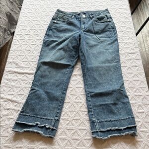 Democracy Flare Wide Leg Jeans in Classic Blue